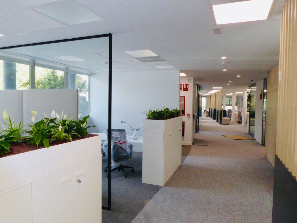 arquitectos-mtac-manuel-trevino-5 La reorganización de la planta también incluye la mejora de la circulación interna, con recorridos más fluidos y accesibles, y la optimización de la superficie para conseguir un mayor aprovechamiento de cada zona. El diseño del mobiliario responde a criterios de flexibilidad, permitiendo que los espacios se adapten fácilmente a diferentes dinámicas: desde áreas de concentración individual hasta espacios colaborativos y de reunión.</p>
<p>Por último, la intervención alcanza los espacios comunes, como la cafetería y zonas de descanso, renovados para convertirse en lugares sociales de encuentro, que favorecen al ambiente de trabajo. Gracias a esta puesta al día, la planta se presenta ahora como un espacio de oficinas contemporáneo, representativo y alineado con las necesidades actuales, consolidando la imagen de los laboratorios como una institución innovadora y con sello de identidad.